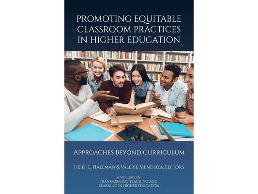 Promoting Equitable Classroom Practices in Higher Education: Approaches Beyond Curriculum