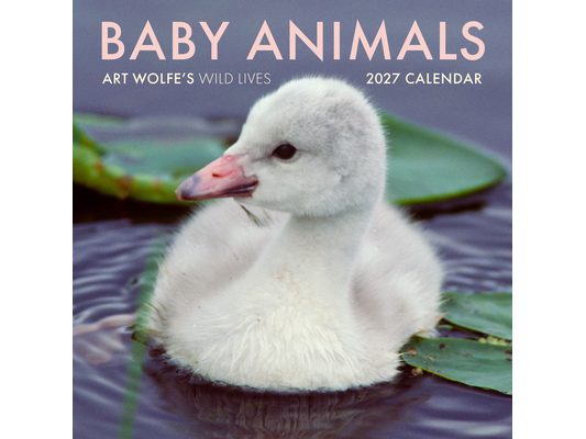 2027 Baby Animals Wall Calendar: Art Wolfe's Wild Lives