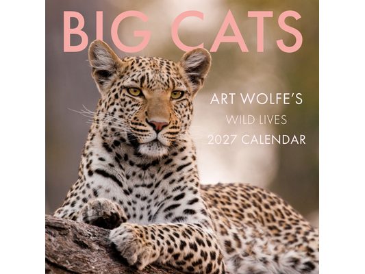 2027 Big Cats Wall Calendar: Art Wolfe's Wild Lives
