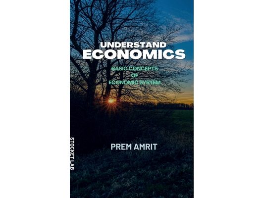 Understand economics
