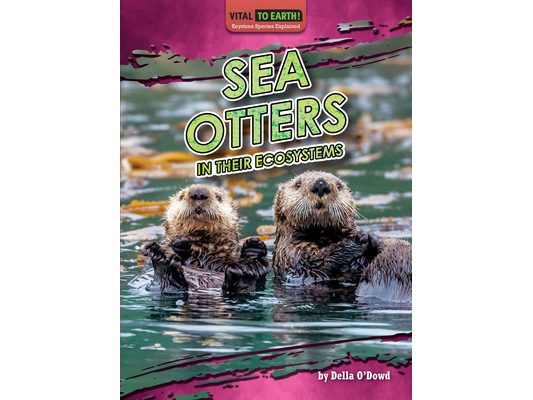 Sea Otters in Their Ecosystems