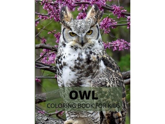 Owl Coloring Book for Kids: Cute Owl Designs to Color for Girls, Boys and Kids Ages 3-8 Coloring and Acitivity Book for Kids Ages 3-8 with Adorabl