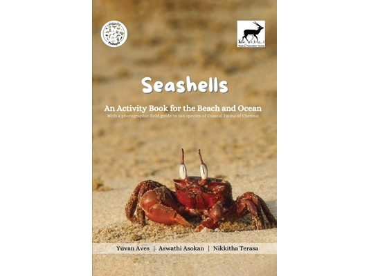 Seashells: An Activity Book for the Beach and Ocean