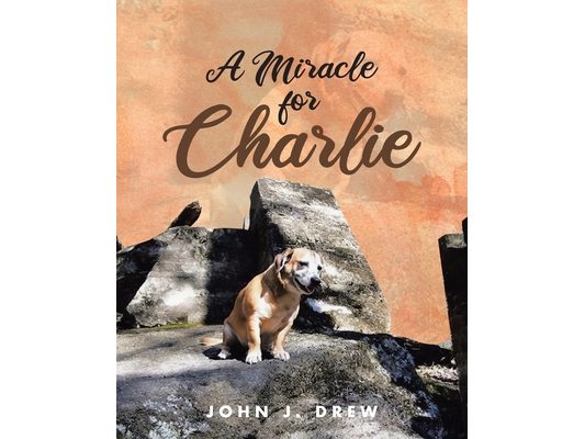 A Miracle for Charlie