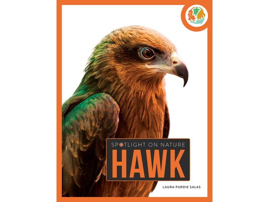 Hawk