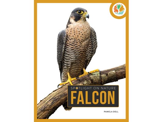 Falcon
