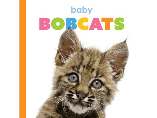 Baby Bobcats
