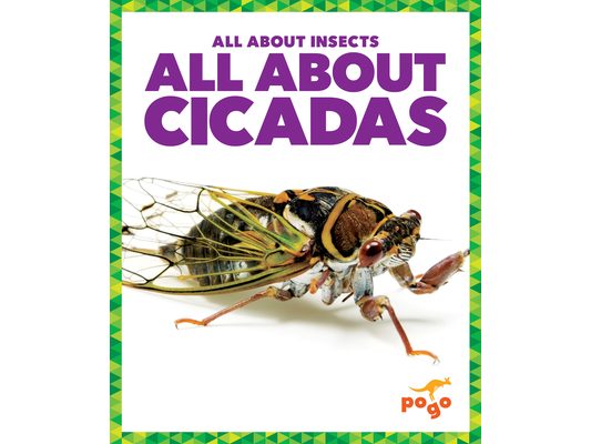 All about Cicadas