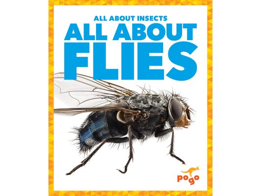 All about Flies