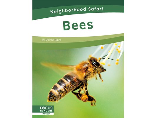 Bees