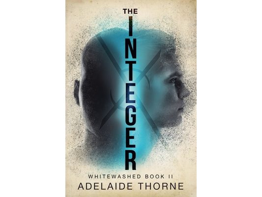 The Integer