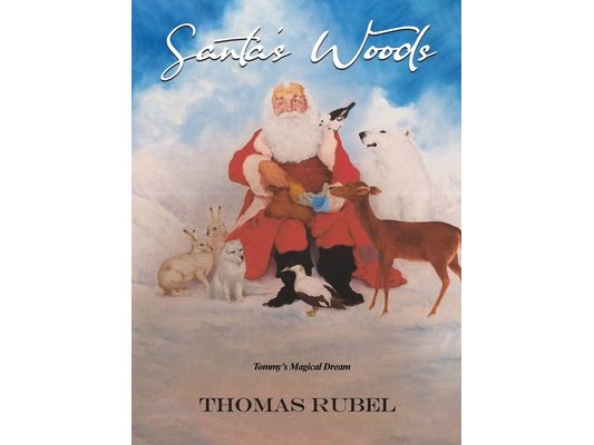 Santa's Woods: Tommy's Magical Dream