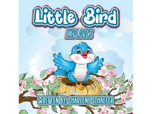 Little Bird: Explores