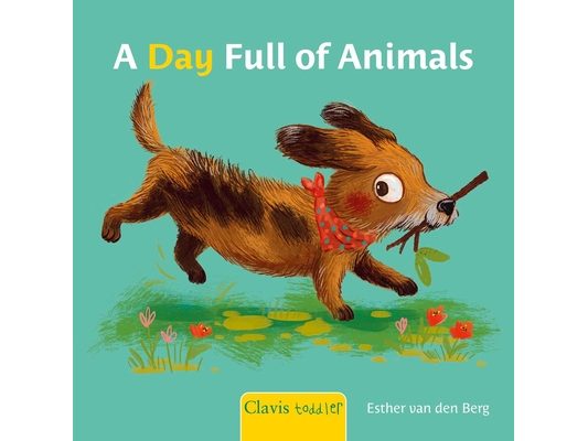 A Day Full of Animals