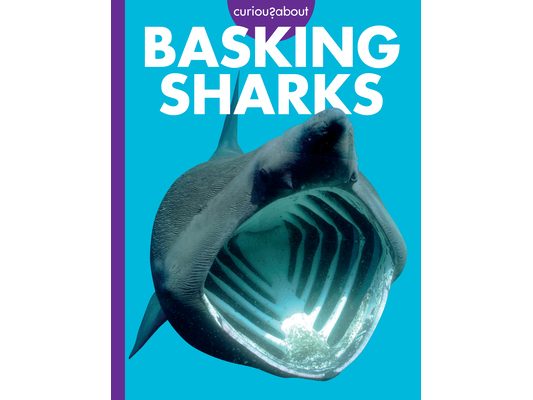 Curious about Basking Sharks
