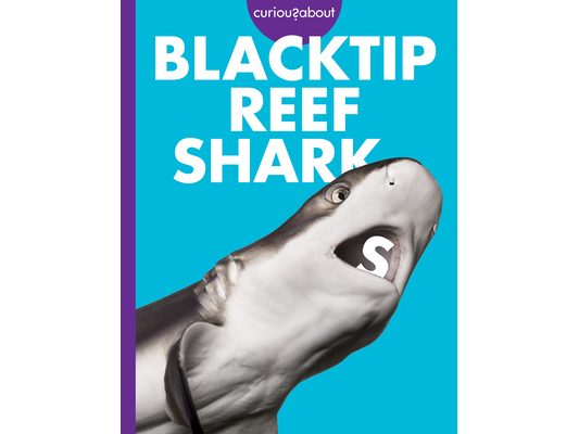 Curious about Blacktip Reef Sharks