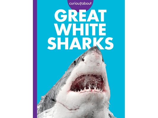 Curious about Great White Sharks
