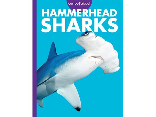 Curious about Hammerhead Sharks