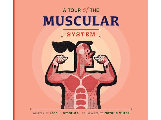 A Tour of the Muscular System