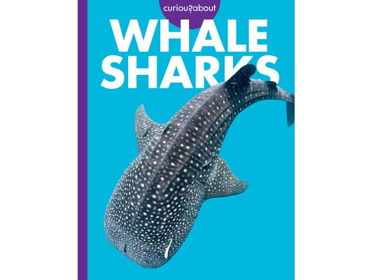 Curious about Whale Sharks
