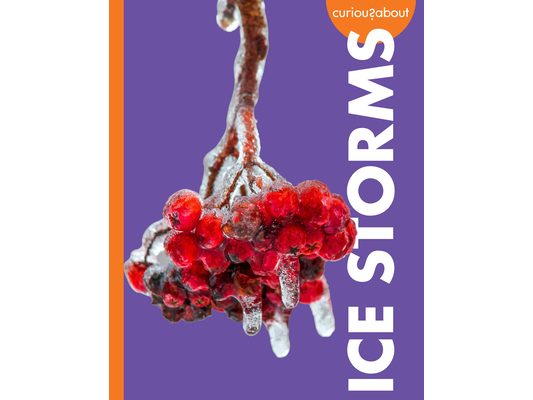 Curious about Ice Storms