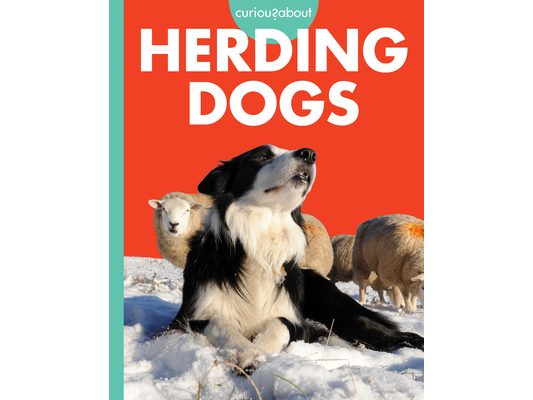 Curious about Herding Dogs