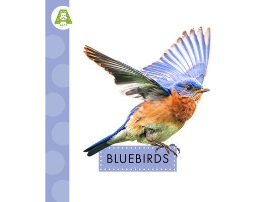 Bluebirds