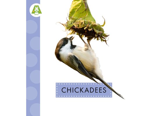 Chickadees