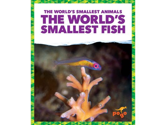 The World's Smallest Fish