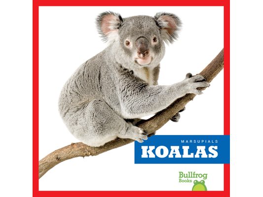 Koalas