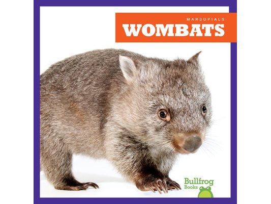Wombats