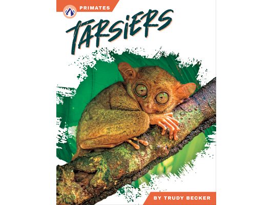 Tarsiers