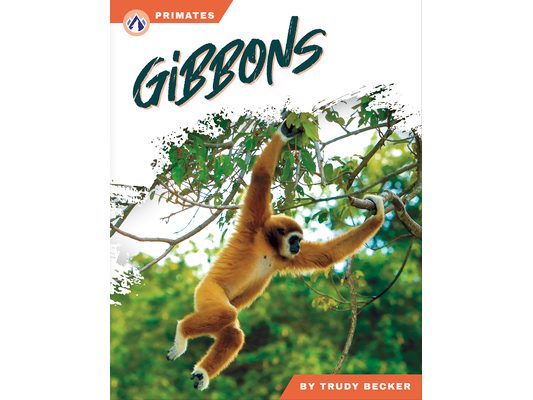 Gibbons