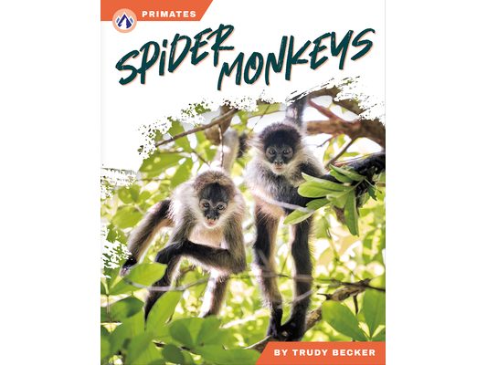 Spider Monkeys