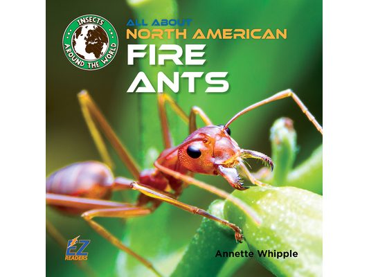 All about North American Fire Ants