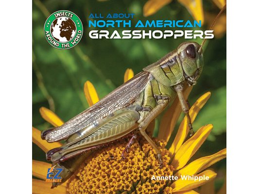 All about North American Grasshoppers