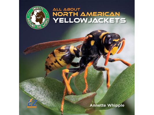 All about North American Yellowjackets