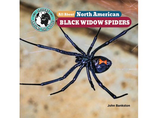 All about North American Black Widow Spiders