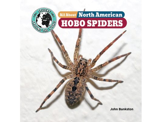 All about North American Hobo Spiders