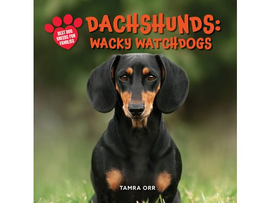 Dachshunds: Wacky Watchdogs