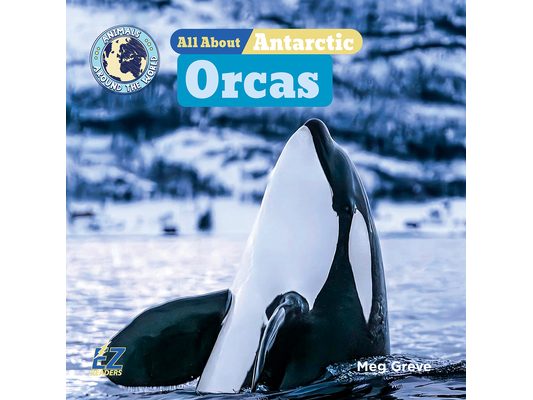 All about Antarctic Orcas