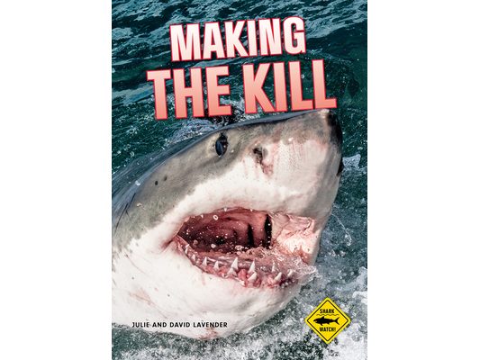 Shark Watch!: Making the Kill