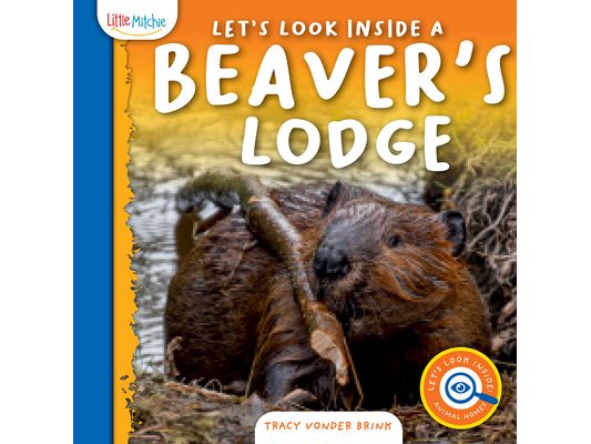 Let's Look Inside a Beaver's Lodge