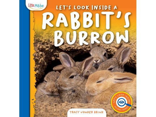 Let's Look Inside a Rabbit's Burrow