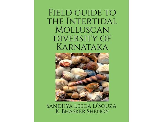 Field guide to the intertidal molluscan diversity of Karnataka