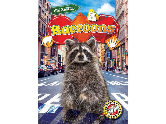 Raccoons