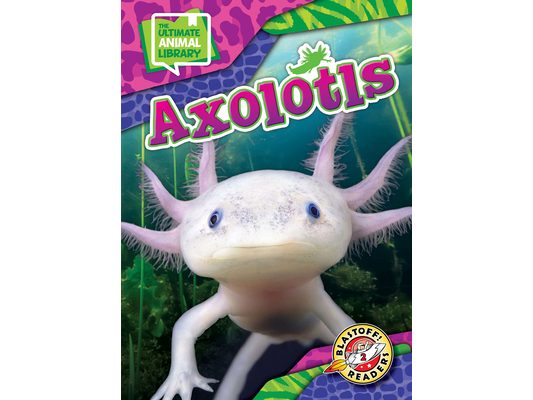 Axolotls