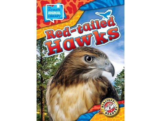 Red-Tailed Hawks