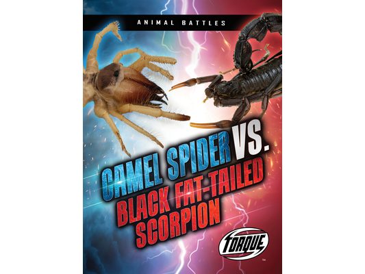 Camel Spider vs. Black Fat-Tailed Scorpion