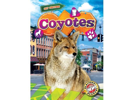 Coyotes
